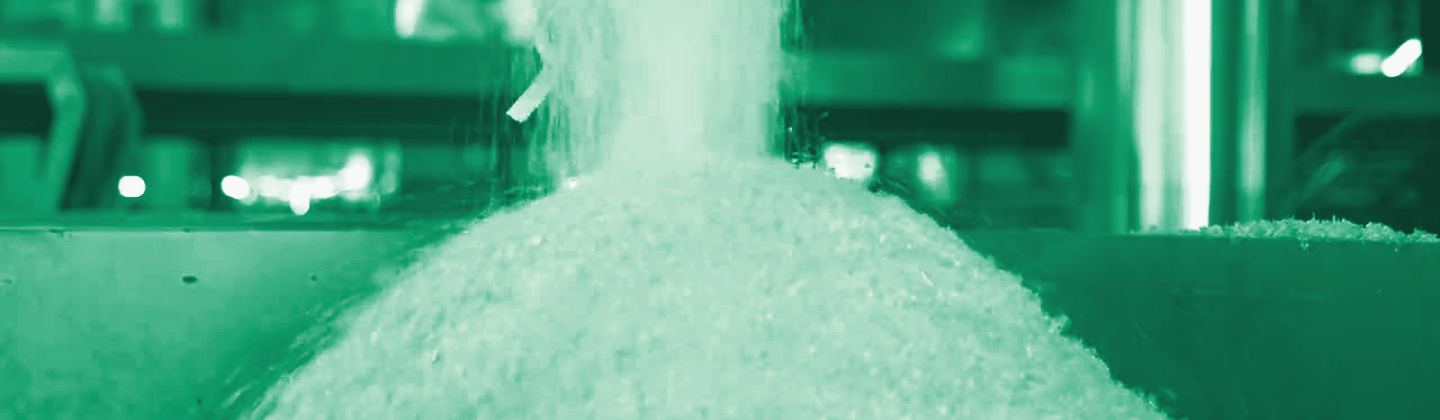 Close view of recycled PET flake, green duotone