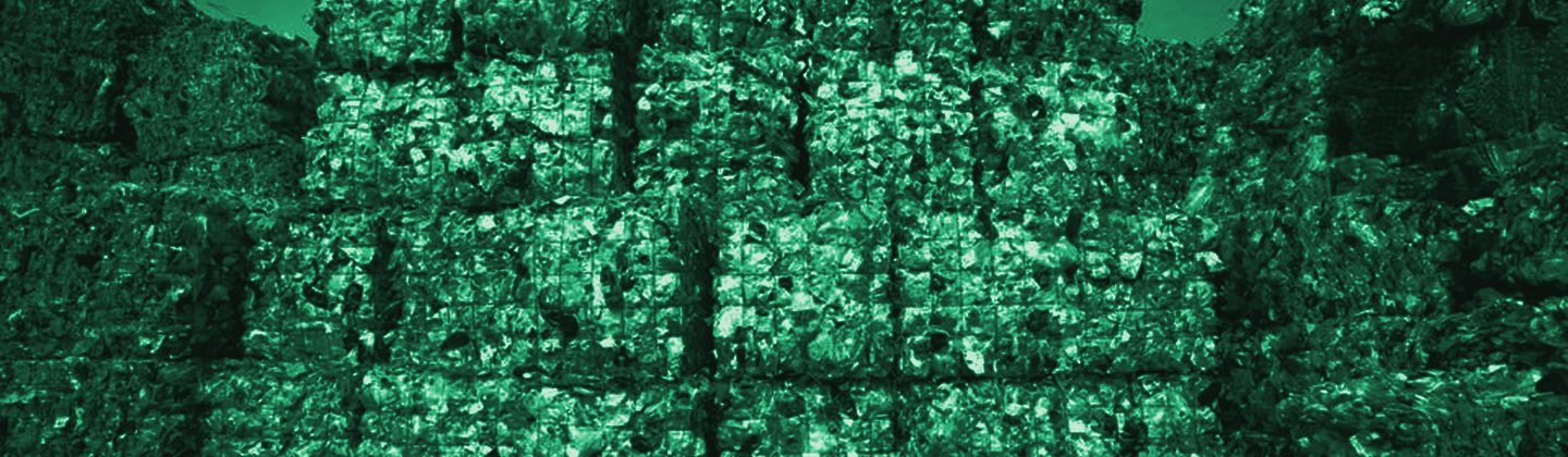 Barbara Kaufman photographed in front of baled post-consumer PET bottles, green duotone